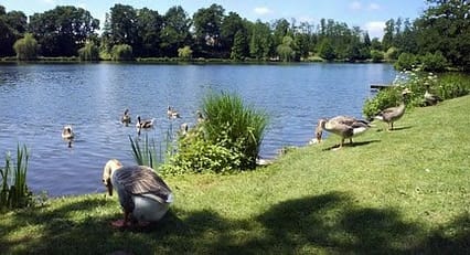 Le lac de Christus à Saint-Paul-lès-Dax