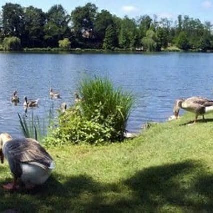 Le lac de Christus à Saint-Paul-lès-Dax