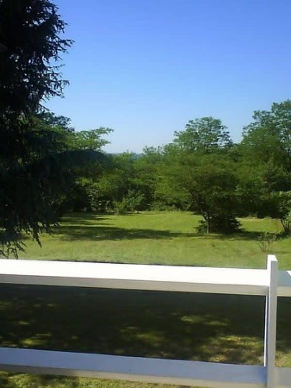 Vue sur le parc depuis la terrasse